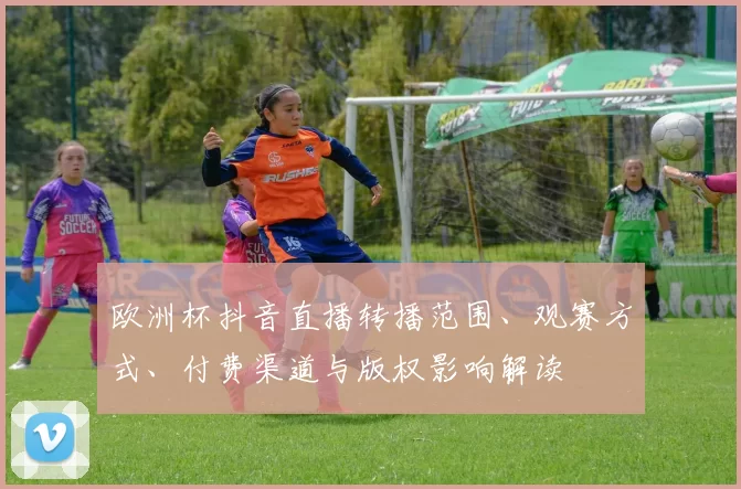 欧洲杯抖音直播转播范围、观赛方式、付费渠道与版权影响解读