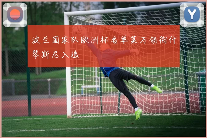 波兰国家队欧洲杯名单莱万领衔什琴斯尼入选